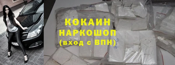 стаф Липки