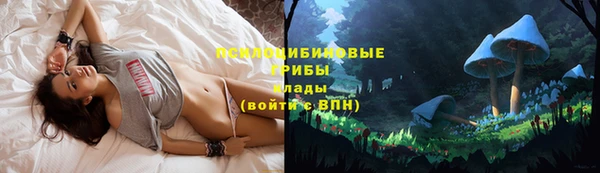 стаф Липки