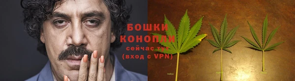 стаф Липки
