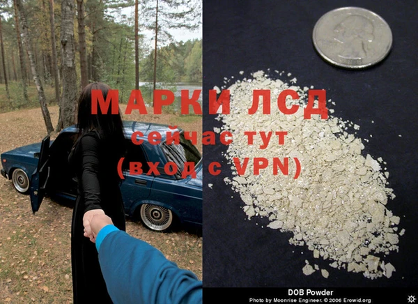 стаф Липки