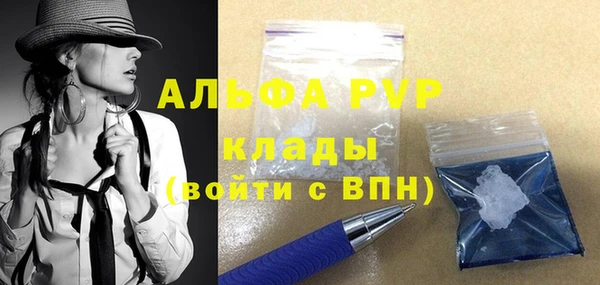 стаф Липки