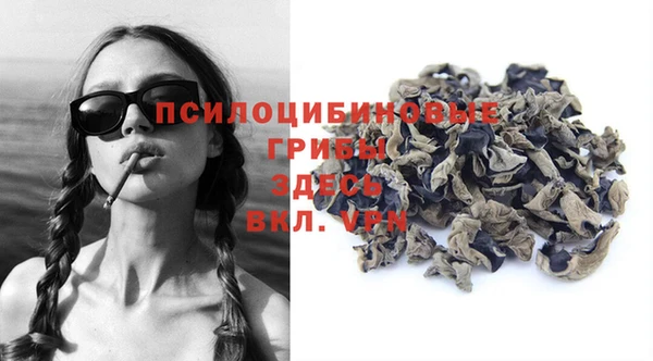 стаф Липки