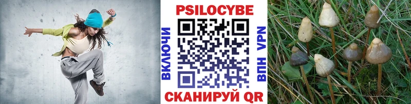 Купить закладки  Кинель  Псилоцибиновые грибы мухоморы 